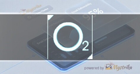 02 Wellness