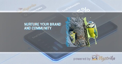 Adeo Internet Marketing