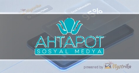 Ahtapot Social Media
