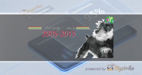 Alpha Dog Marketing