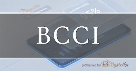 BCCI Consulting