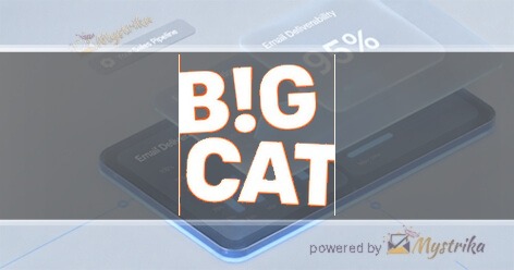 Big Cat Agency