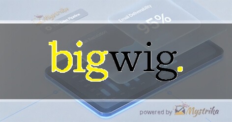 Bigwig Agency Agency logo