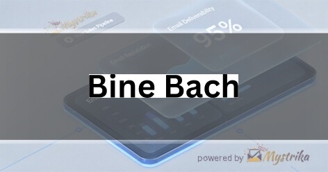 Bine Bach Agency logo