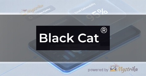 Black Cat Website Design