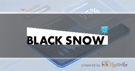 Black Snow Agency