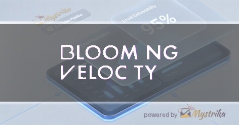 Blooming Velocity Agency logo