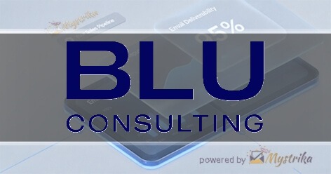BLU Consulting Agency logo