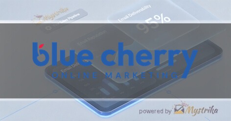 Blue Cherry Online Marketing