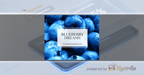 Blueberry Dreams