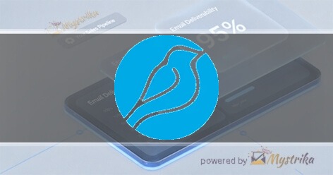 Bluebird International