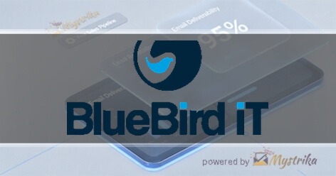 BlueBird iT Solutions Inc