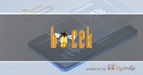Bocek Films