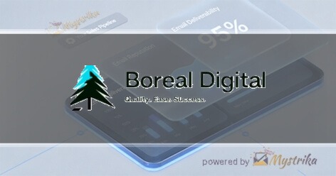 Boreal Digital Agency logo