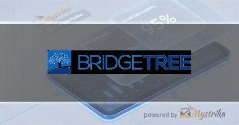 Bridgetree, Inc
