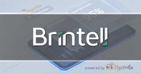 BRINTELL TEAM Agency logo