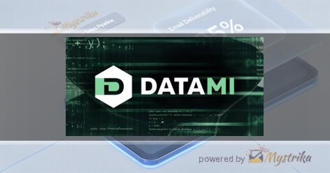 DATAMI Agency logo