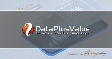 DataPlusValue Agency logo