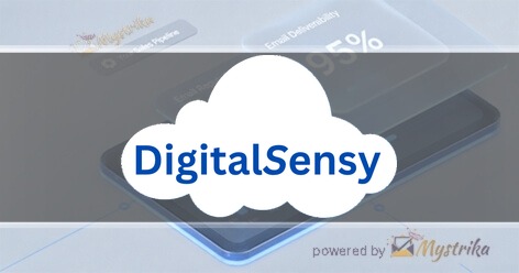 Digital Sensy Agency logo