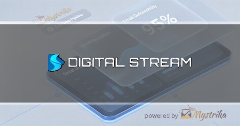 Digital Stream Agency logo