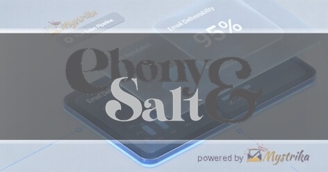 Ebony & Salt Agency logo