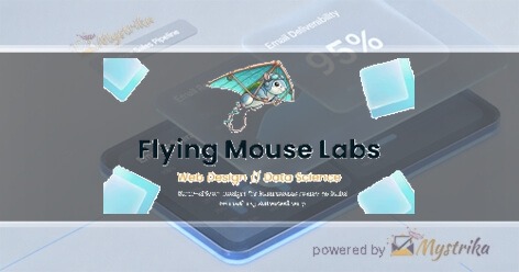 Flying Mouse Labs
