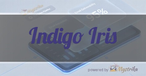 Indigo Iris HubSpot Consultancy & Training