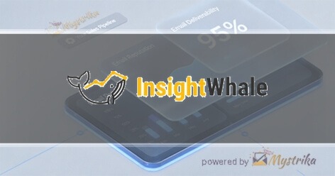 InsightWhale