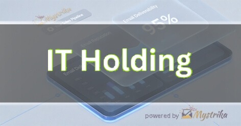 IT Holding