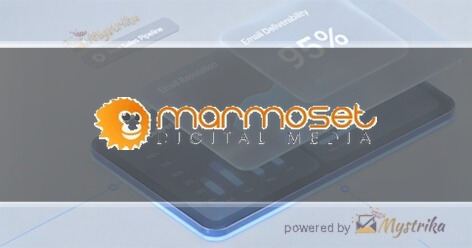 Marmoset Digital Media Agency logo