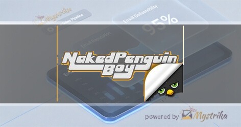Naked Penguin Boy Agency logo