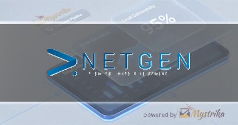 Netgen Custom Software Agency logo