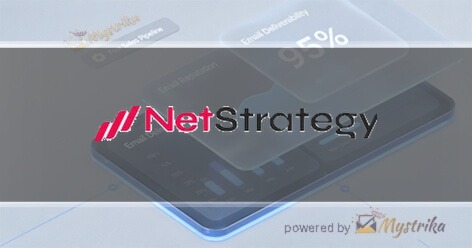 NetStrategy Agency logo