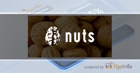 Nuts Agency logo