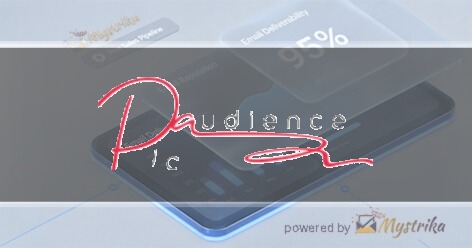 Pic Audience Agency logo