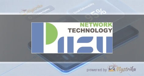 Piizu Network Technology Agency logo
