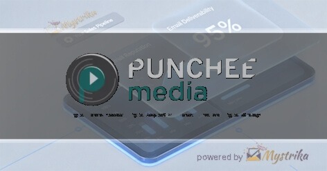 Punchee Media Agency logo
