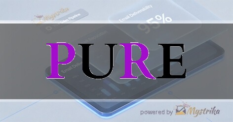 Pure Media Solutions Agency logo