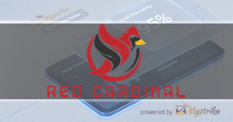 Red Cardinal Digital Marketing