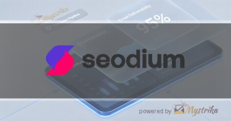 Seodium Agency logo