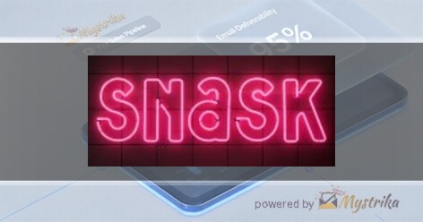 SNASK Agency logo