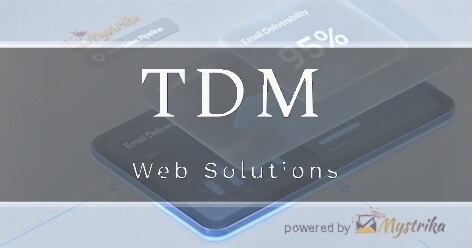 TDM Web Solutions Agency logo