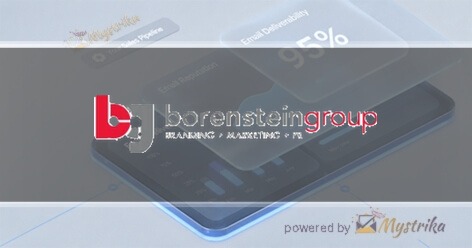 The Borenstein Group, Inc.