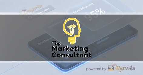 The Marketing Consultant