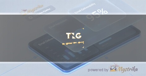 The Net Group