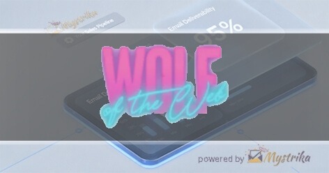 The Wolf Of The Web Agency logo