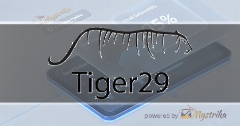 Tiger29 Agency logo