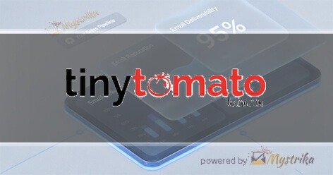 Tiny Tomato Design Agency logo