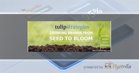 Tulip Strategies