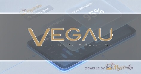 Vegau Digital Marketing